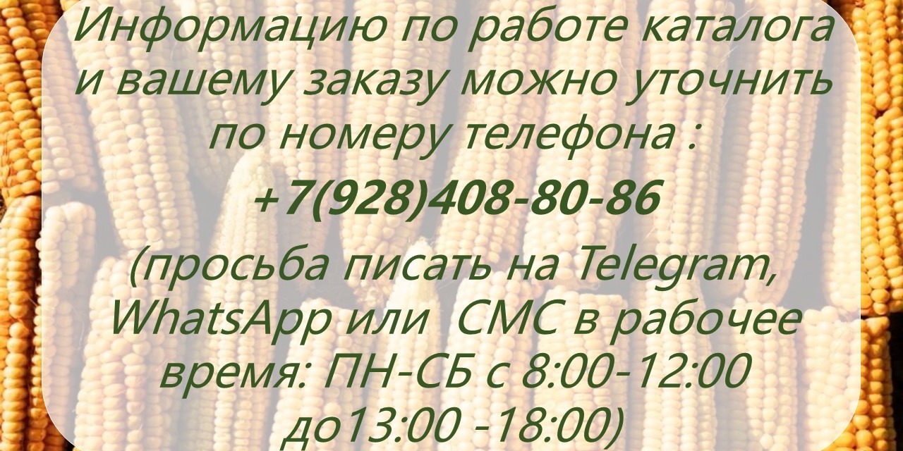 Обратная связь!