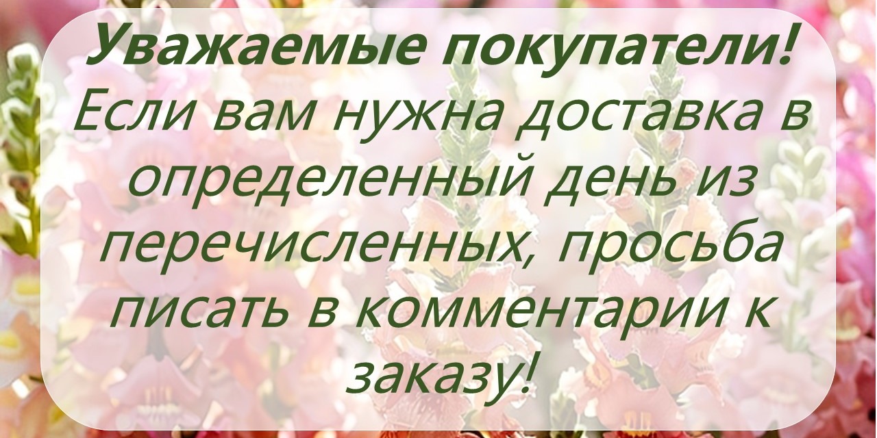 Просьба!