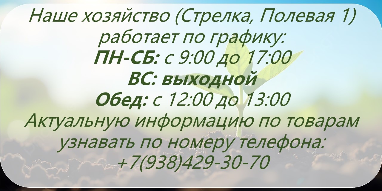 Наше хозяйство!